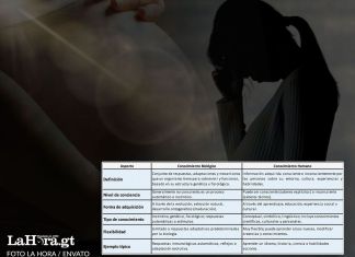 Aborto: debates sobre sus contenidos Vida humana y personalidad. Foto La Hora: Diseño Roberto Altán.