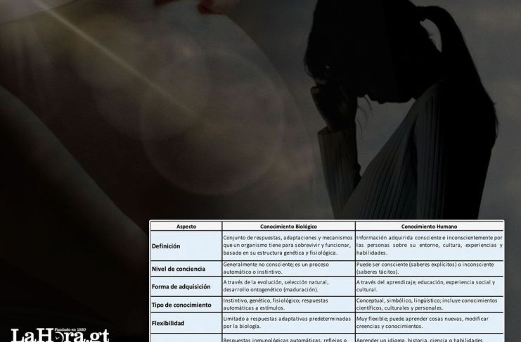 Aborto: debates sobre sus contenidos Vida humana y personalidad. Foto La Hora: Diseño Roberto Altán.