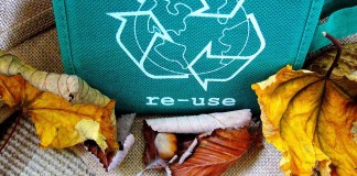 La economía circular aumenta las exportaciones convirtiendo los residuos en oportunidades de negocio