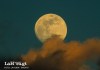 Representación de la luna llena de Esturión. Foto La Hora: Evato
