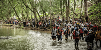 Migrantes ya no se arriesgan a pasar por una de las rutas más difíciles de América a causa de Trump