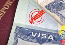 ¿Viajas a Ecuador? Conoce si necesitas una visa de transeúnte según tu nacionalidad Foto La Hora: cancilleria de Ecuador.