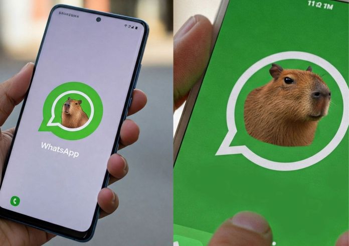 Capibara