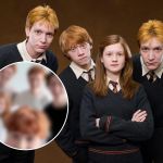 hermanos Weasley