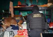 Localizan routers, licor y celulares en nueva requisa en Granja Modelo Pavón PNC