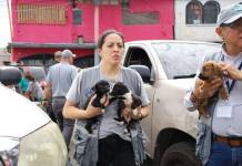 Por diferentes casos, fueron decomisados 25 perros y gatos en zonas 5, 7 y Santa Catarina Pinula. Foto La Hora: MAGA.