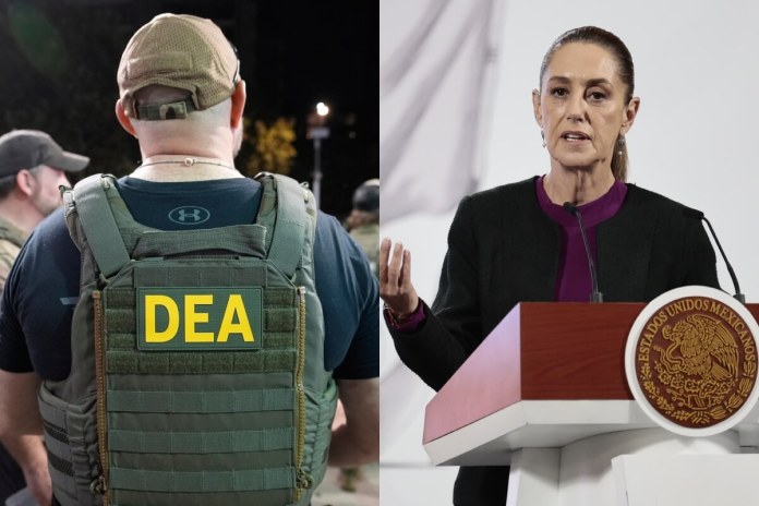 Proyecto Portero DEA