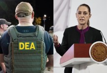 Proyecto Portero DEA