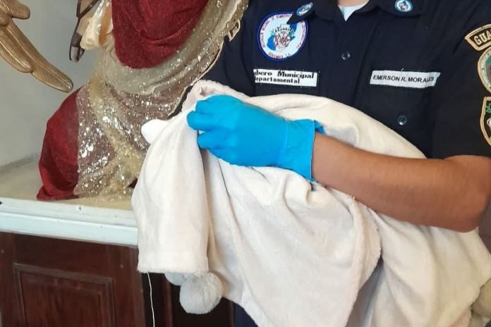 Recién nacido localizado en el interior de una iglesia de San Marcos. Foto La Hora: ASONBOMD
