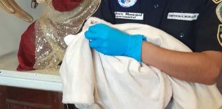 Recién nacido localizado en el interior de una iglesia de San Marcos. Foto La Hora: ASONBOMD