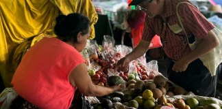 Alimentos biológicos o convencionales ¿qué es mejor?. Foto La Hora: José Orozco.