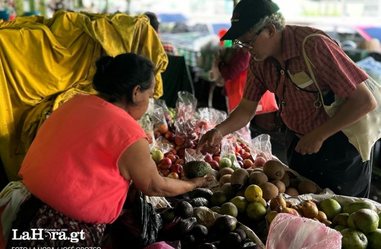 La compra de alimentos, según la distribución del gasto, es uno de los rubros más impactados por el precio del combustible. Foto: La Hora