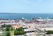 Cámara del Agro: Interrupción de Puerto Santo Tomás de Castilla afecta gravemente a la economía nacional