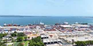 Cámara del Agro: Interrupción de Puerto Santo Tomás de Castilla afecta gravemente a la economía nacional