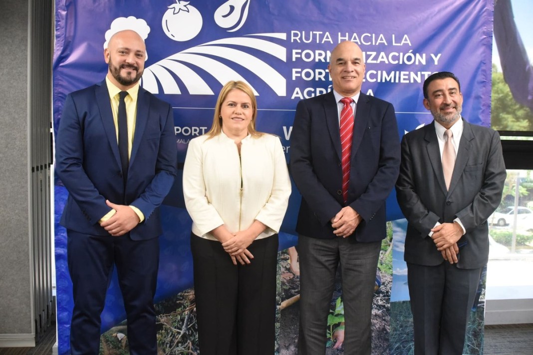 De izquierda a derecha: Luis Arturo Ramírez, coordinador de asuntos corporativos de Walmart; Bárbara Viñals, directora de operaciones de Walmart; Amador Carballido, director general de AGEXPORT; Moisés Mérida, director de alianzas para el desarrollo de AGEXPORT. Foto: La Hora/ José Orozco.