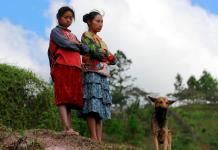 ONU pide a Honduras garantizar el territorio y la consulta previa a los pueblos indígenas