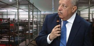 Reducción de connacionales detenidos en Alligator Alcatras se deben a traslados a otros centros para audiencias y deportaciones