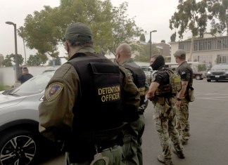 Operación «Caballo de Troya»: empresa de alquiler de camiones «no autorizó» el uso de unidades Empresa de alquiler rechaza uso de sus camiones durante redada en Los Ángeles
