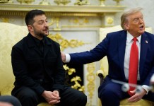 El traje de Zelenski vuelve a ser tema en la Casa Blanca y genera risas junto a Trump Zelenski y Trump