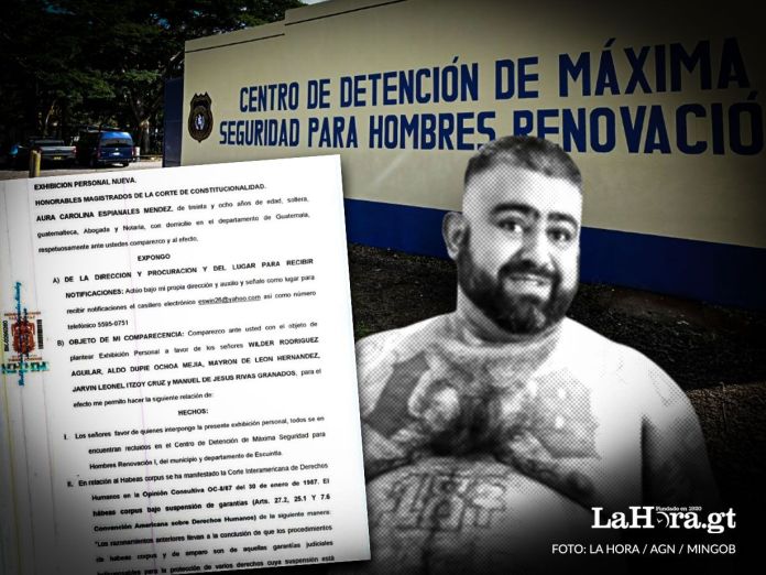 exhibicion el lobo Una abogada presentó un acción de exhibición personal en favor de cinco pandilleros del Barrio 18, puesto que presuntamente su vida corre peligro luego de haber sido llevados a Renovación I.
