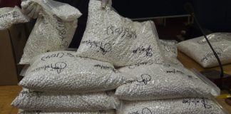 Nitazenos: el opioide más potente que el fentanilo alerta a EE.UU. Foto La Hora: EFE
