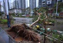 Tifón Ragasa llega a Vietnam, tras su paso destructor por Filipinas y Taiwán