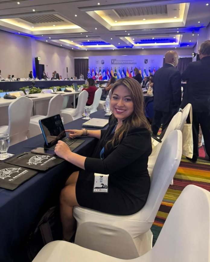 en el LI Pleno de Representantes y en los grupos de trabajo del Grupo de Acción Financiera de Latinoamérica (GAFILAT)