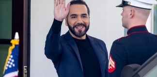 Bukele