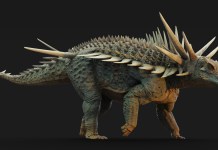 Reconstrucción artística del Spicomellus , cuyo esqueleto estaba cubierto de espinas (algunas fusionadas al esqueleto del animal) que mediaban hasta un metro de largo. Foto La Hora: EFE