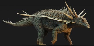 Reconstrucción artística del Spicomellus , cuyo esqueleto estaba cubierto de espinas (algunas fusionadas al esqueleto del animal) que mediaban hasta un metro de largo. Foto La Hora: EFE