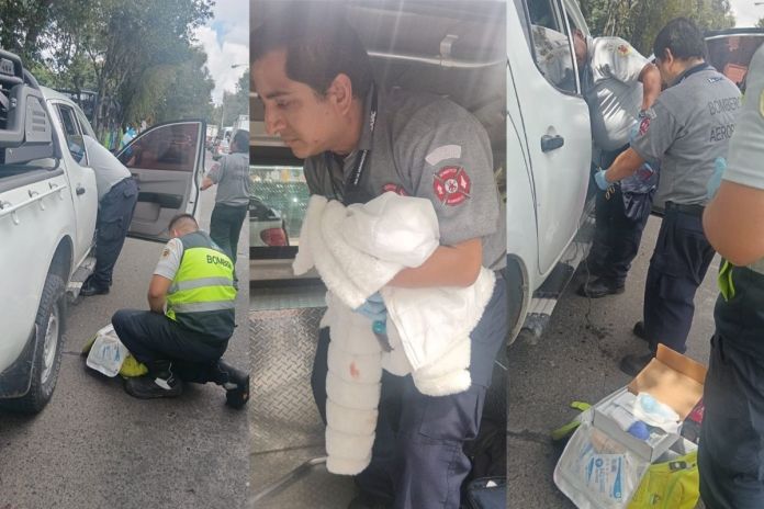 Bomberos Aeronáuticos asisten parto en plena vía pública del bulevar Juan Pablo II