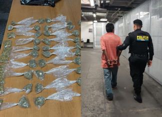 PNC recaptura a supuesto distribuidor de droga en La Terminal con 21 antecedentes