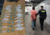 PNC recaptura a supuesto distribuidor de droga en La Terminal con 21 antecedentes