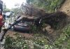 Caida de arbol en la ruta a Boca del Monte