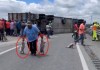 Video: Tráiler con cerditos vuelca en San Luis Potosí y pobladores lo saquean
