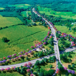 Con 600 inversionistas, así es Xochi, la carretera privada que se inaugurará en 2026