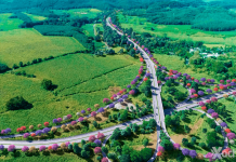Con 600 inversionistas, así es Xochi, la carretera privada que se inaugurará en 2026