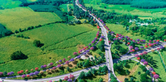 Con 600 inversionistas, así es Xochi, la carretera privada que se inaugurará en 2026
