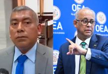 Curruchiche ante misión de la OEA: "van a decir que son relatores pero que no son relatores".