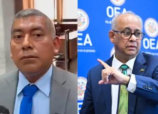 Curruchiche ante misión de la OEA: "van a decir que son relatores pero que no son relatores".