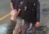 Deportado desde EE. UU. y capturado al llegar al país.