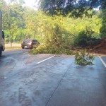 Derrumbe en Km 23 ruta Interamericana. Foto La Hora: Policía Municipal de Tránsito de Mixco