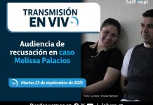 ENVIVO MELISSA PALACIOS
