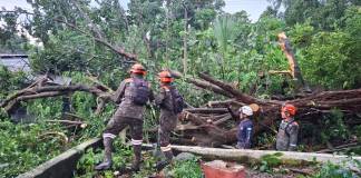 Caída de árbol registrada en barrio El Porvenir, zona 3 de Mazatenango, Suchitepéquez. Foto La Hora: Conred.