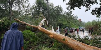 Emergencia cuasada por lluvia registrada en Suchitepéquez. Foto La Hora: Conred