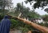 Emergencia cuasada por lluvia registrada en Suchitepéquez. Foto La Hora: Conred