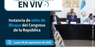 Retransmisión de Instancia de Jefes de Bloque. Arte La Hora: Francisco Altán