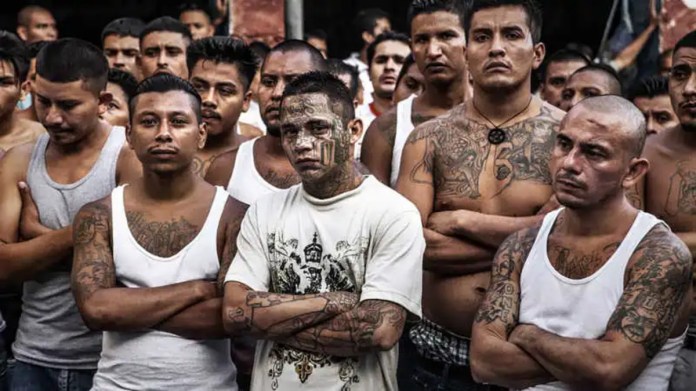 ¿Qué es el Barrio 18? Pandilla designada como terrorista por el Departamento de Estado de EE.UU.