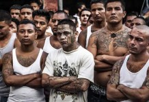 ¿Qué es el Barrio 18? Pandilla designada como terrorista por el Departamento de Estado de EE. UU. Congreso aprobó ley antipandillas