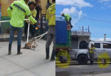 MAGA inicia investigación por maltrato animal en Municipalidad de Uspantán, Quiché MAGA dice dar inicio a investigación por maltrato animal por parte de municipalidad de Uspantán, Quiché.